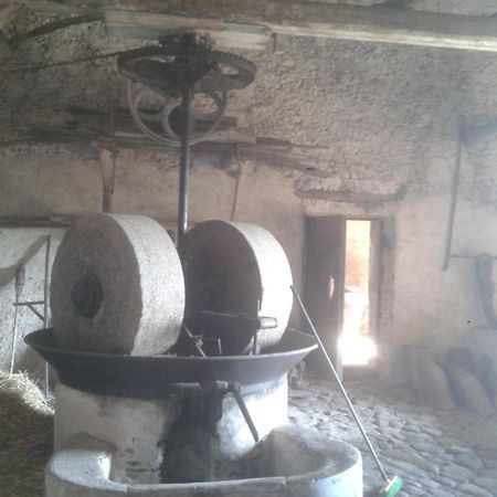 Agriturismo Frantoio Mafrica Limbadi Buitenkant foto