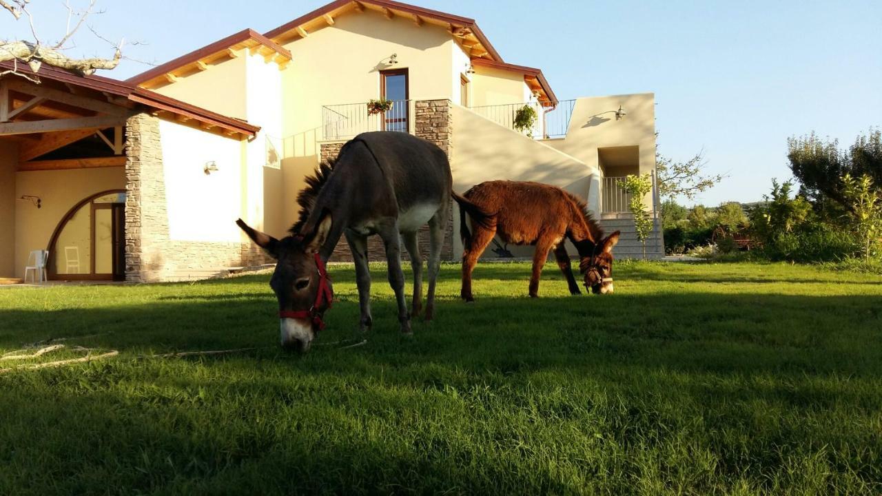 Agriturismo Frantoio Mafrica Limbadi Buitenkant foto